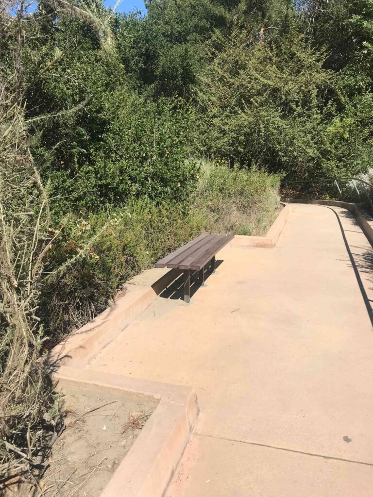 0536DF86 B435 403D 9D47 B88762D84F73 11zon 768x1024