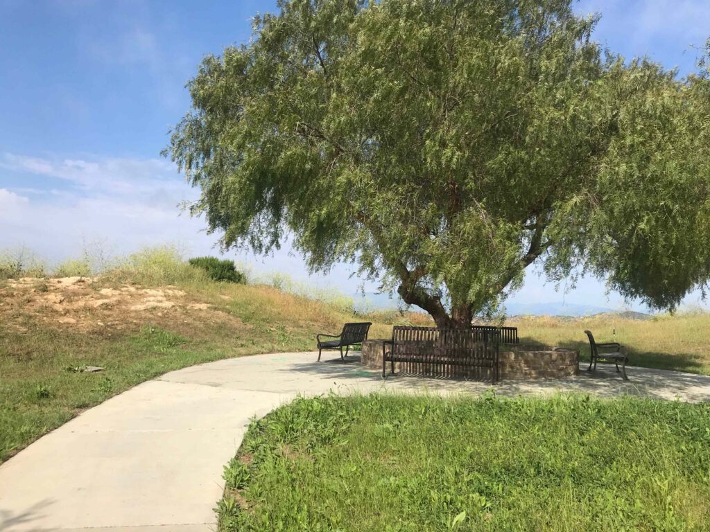 11ECC11A EA5A 4761 8B1B A563ED72116B 11zon 1024x768