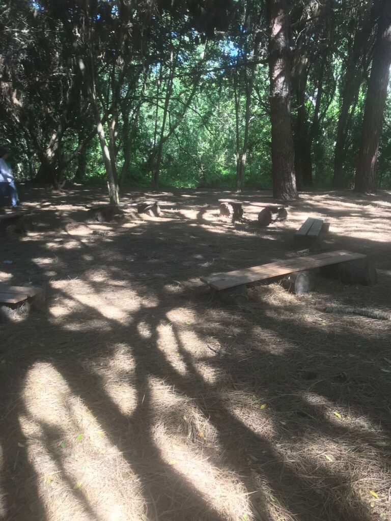 240B78BB 9469 4981 AAAF 431936455AEE 11zon 768x1024