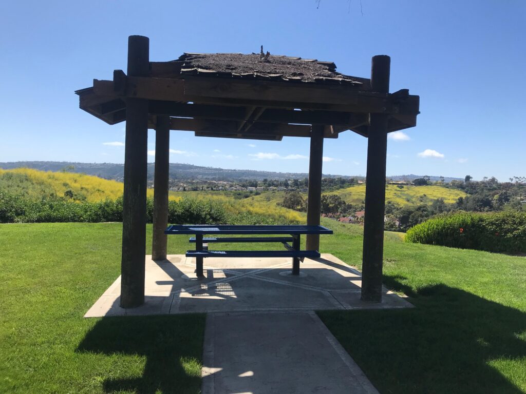 A5CFB32F 965D 49BC B30A 5B2652531BC4 11zon 1024x768