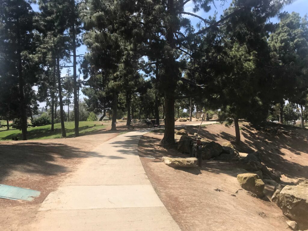 IMG 8055 11zon 1024x768