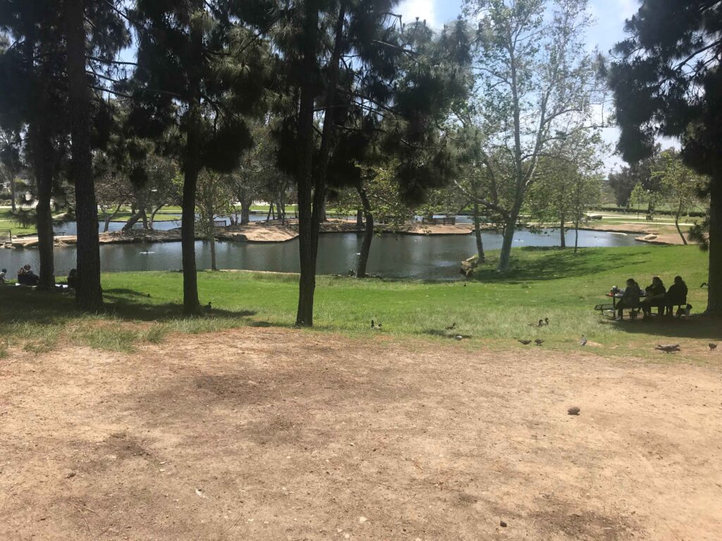 IMG 8056 11zon 1024x768