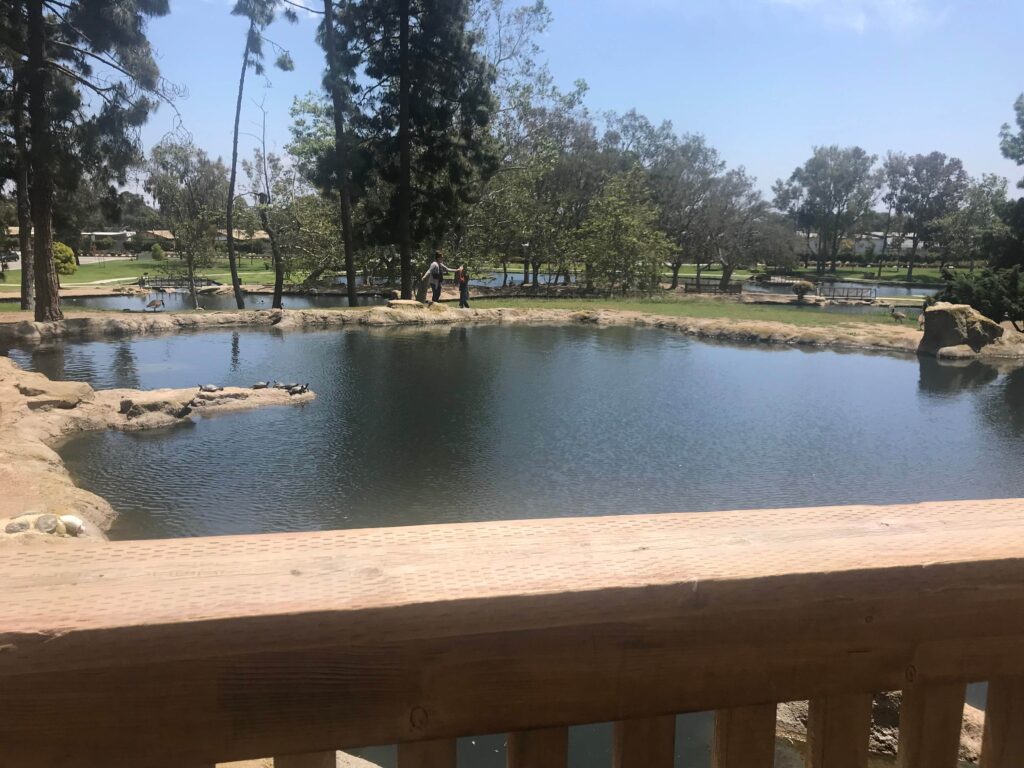 IMG 8058 11zon 1024x768