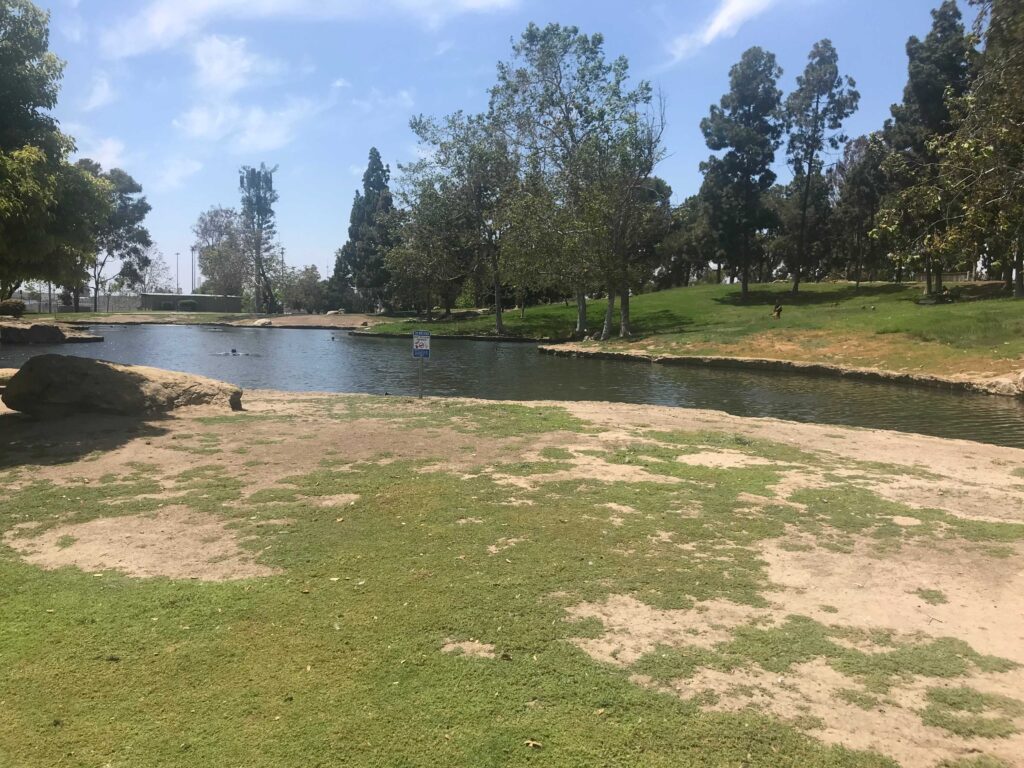 IMG 8067 11zon 1024x768