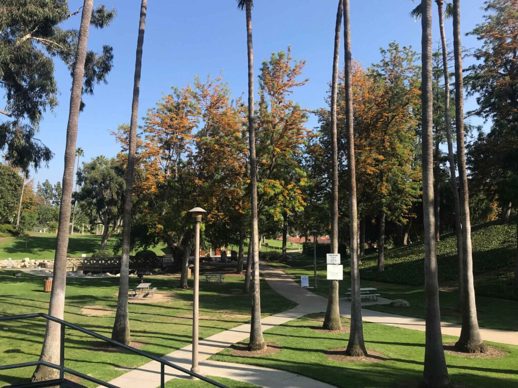 IMG 8398 11zon 1024x768