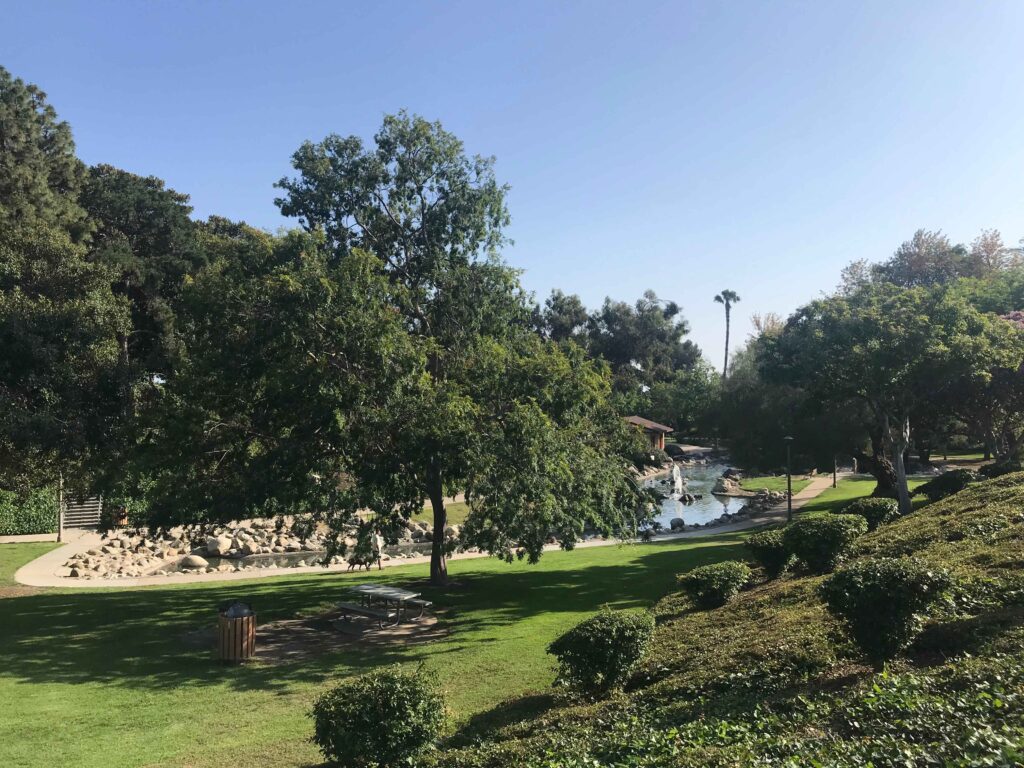 IMG 8399 11zon 1024x768