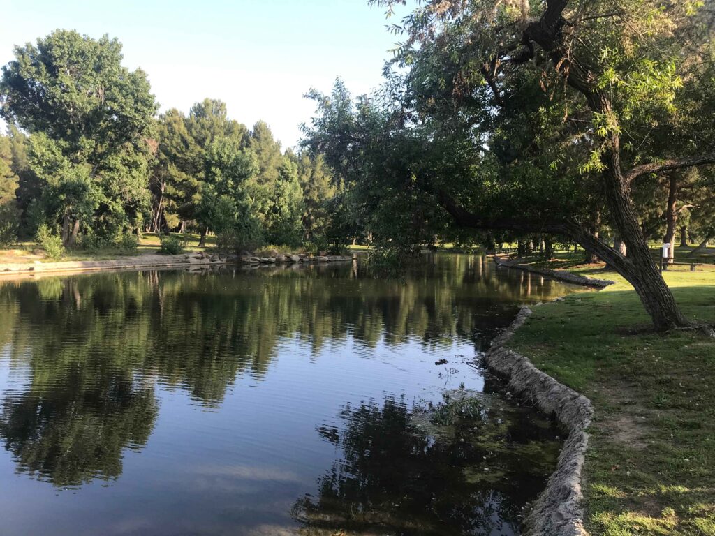 IMG 8407 11zon 1024x768