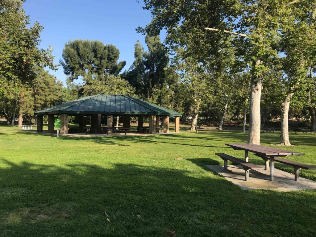 IMG 8417 11zon 1024x768