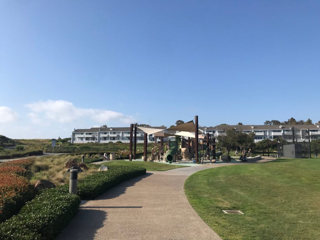 IMG 8456 11zon 1024x768