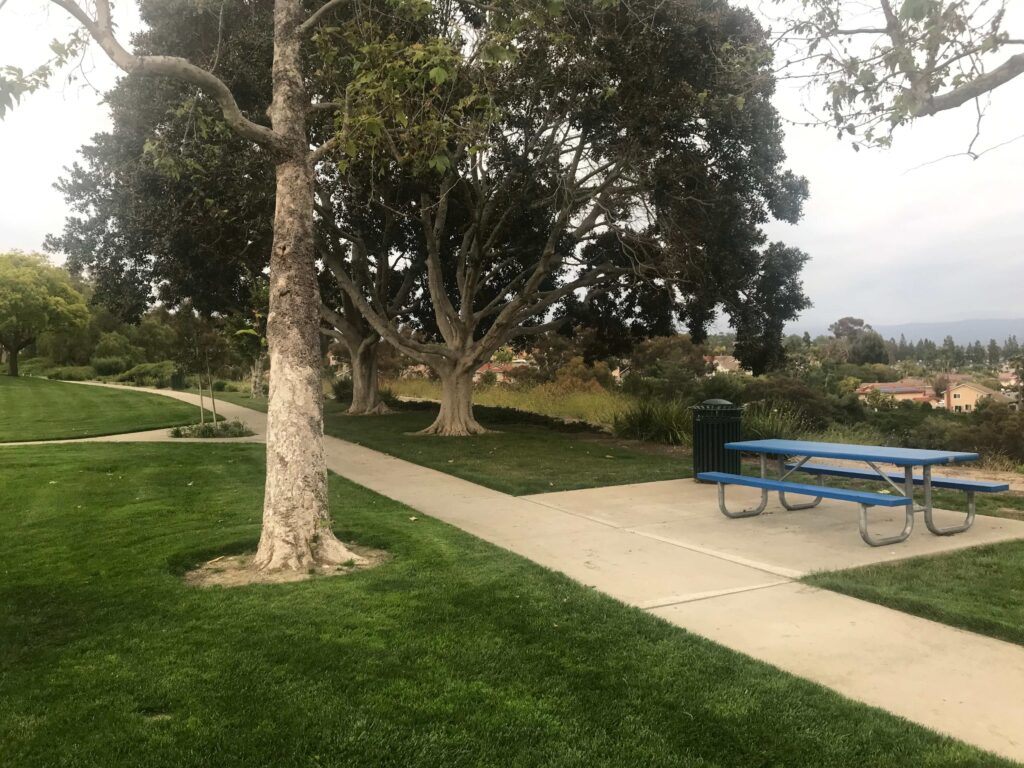 IMG 8566 11zon 1024x768