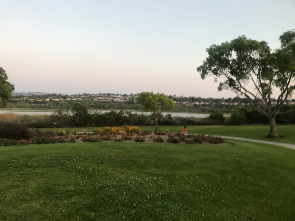 2C06F25B 097E 44B1 9FA3 44FFCDED6A50 11zon 1024x768