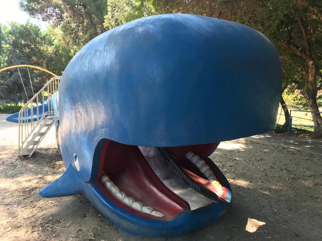 00DD6E95 903C 4870 9D05 E7B35532AD64 11zon 1024x768