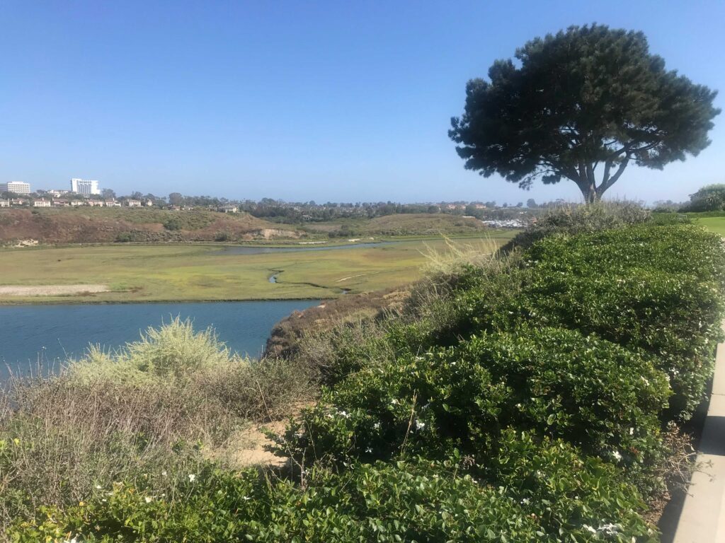 06A862D0 B5D8 4FD5 BFA8 767AA789EF8A 11zon 1024x768