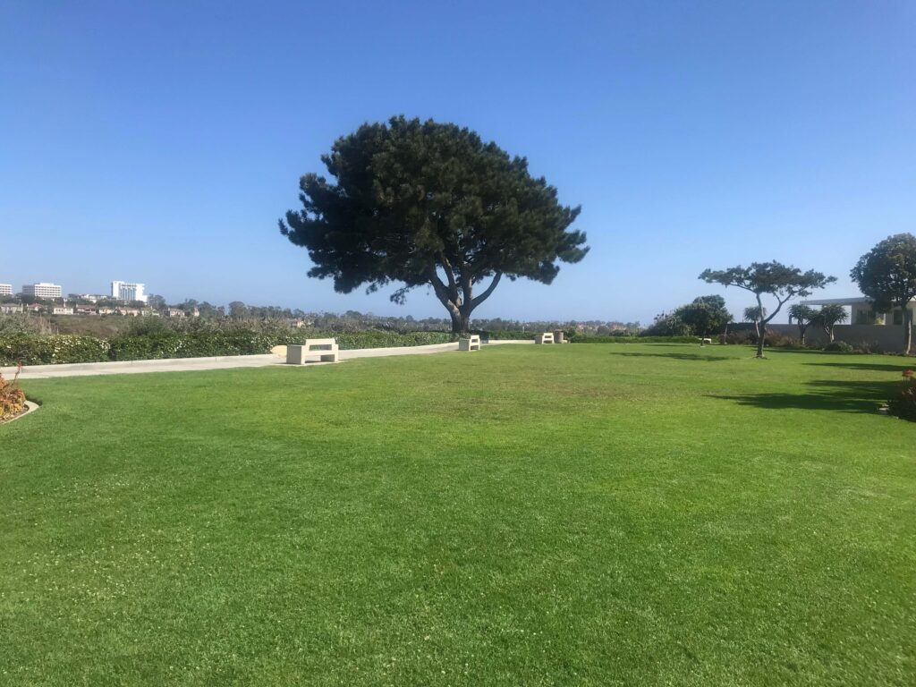 81B3BAC3 DDCA 4E5E B09D BB94E21CCE0C 11zon 1024x768