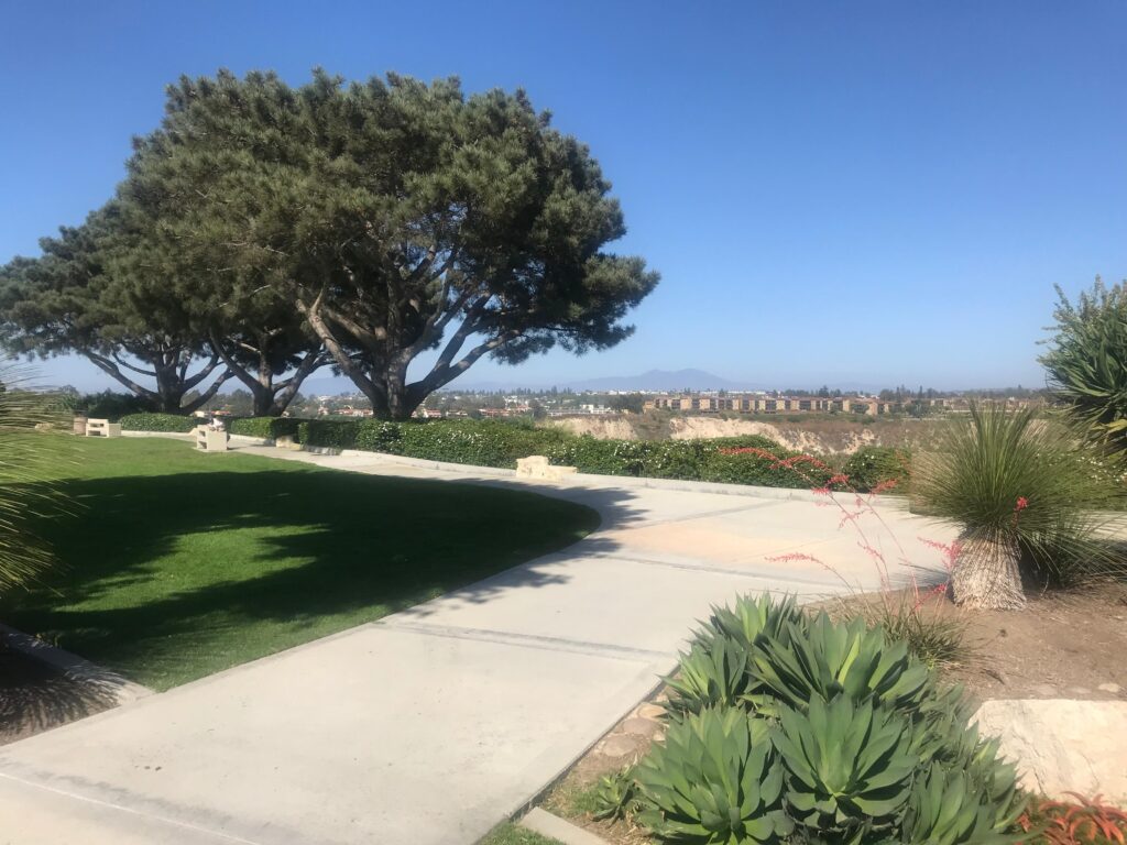 84D2BB9E D5D4 423C 92F9 761058B21022 11zon 1024x768