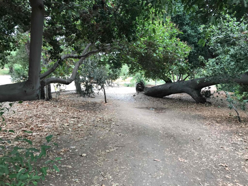 862645F1 6F9A 4791 A9EE 13652EB7F92B 11zon 1024x768