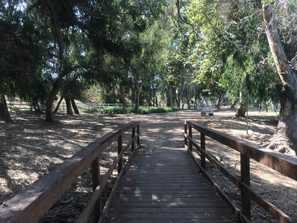 central park west 2 1024x768