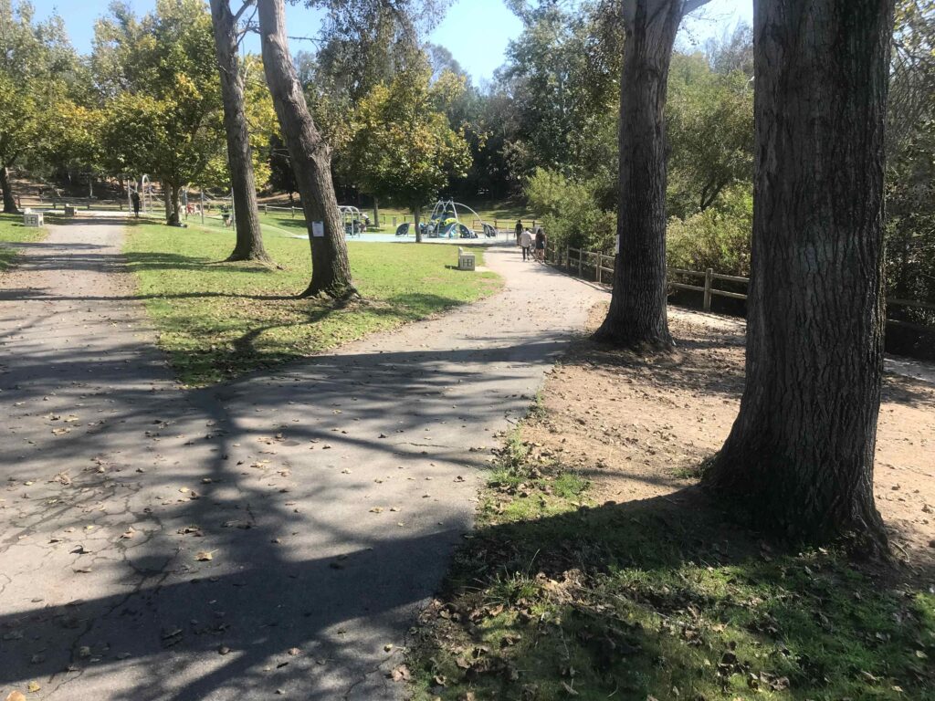 central park west 3 1024x768