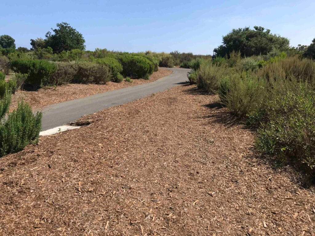 D5C0DB50 33C2 43FB 95A2 AE97FCDA5EE5 11zon 1024x768