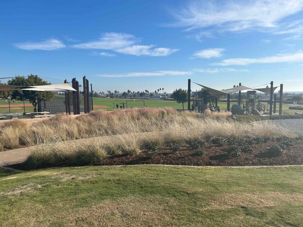 IMG 0683 11zon 1024x768