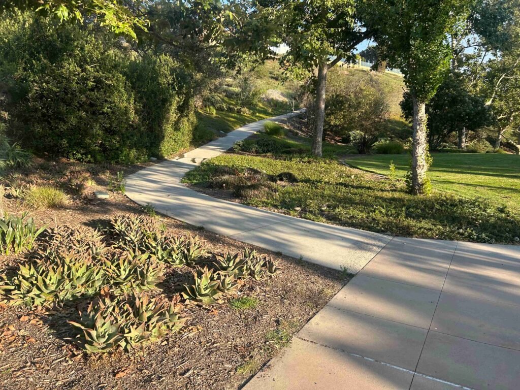 IMG 2022 1 11zon 1024x768