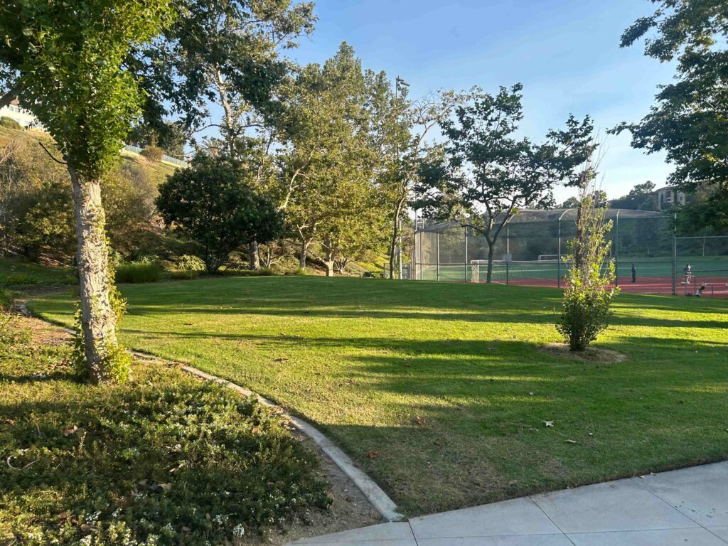 IMG 2023 1 11zon 1024x768