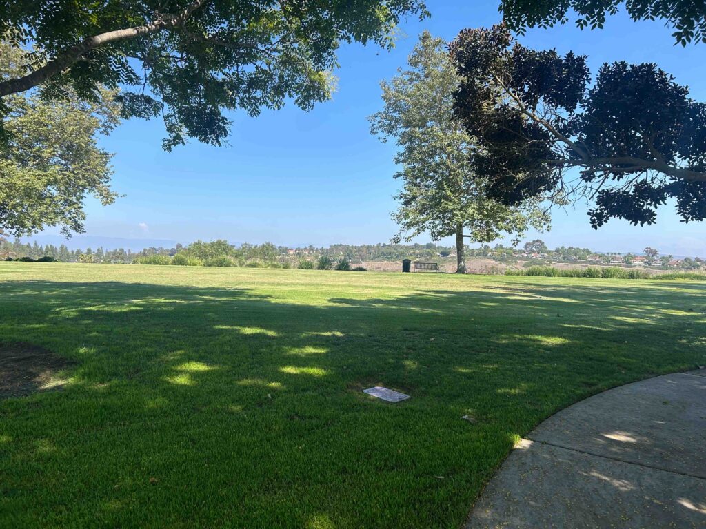 IMG 2049 11zon 1024x768