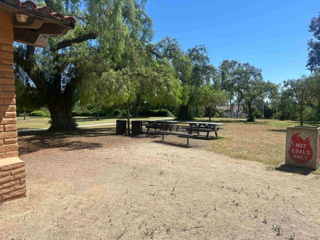 IMG 2250 11zon 1024x768