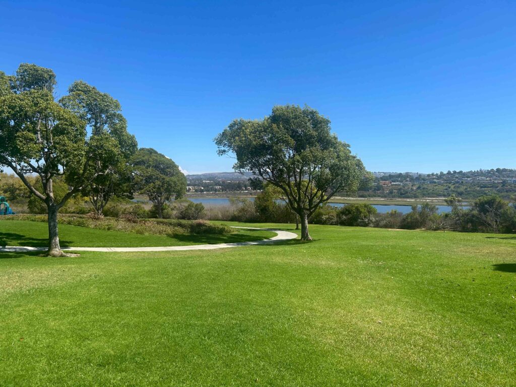 IMG 2270 11zon 1024x768