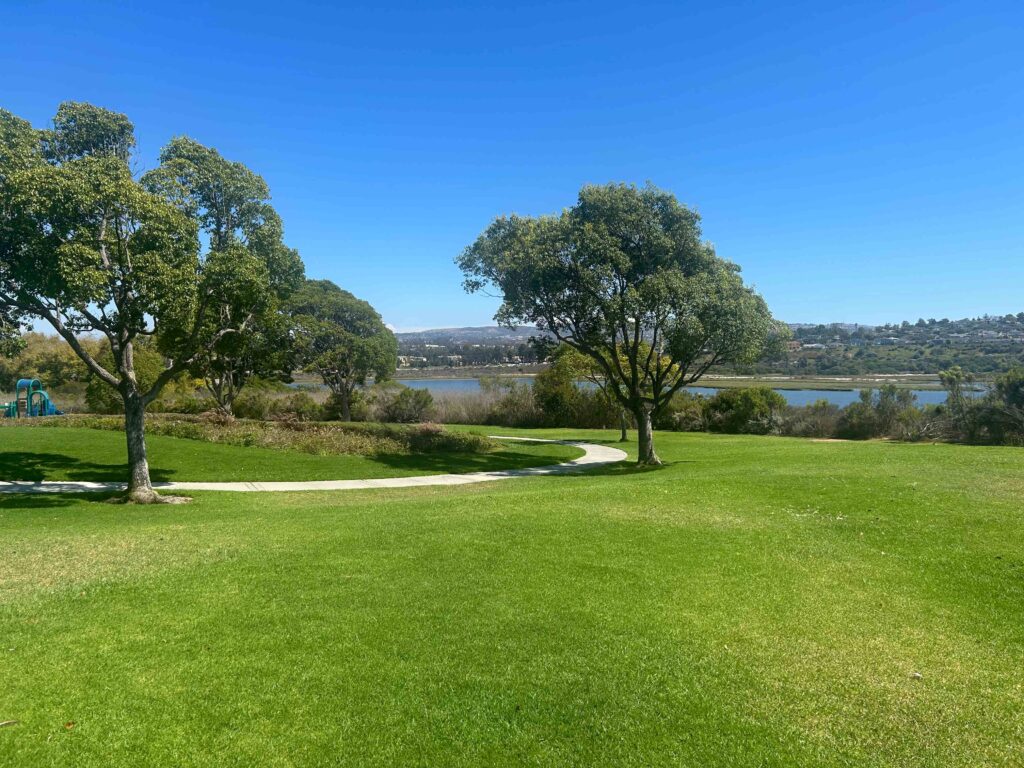 IMG 2271 11zon 1024x768