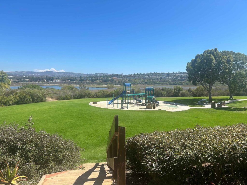 IMG 2275 11zon 1024x768