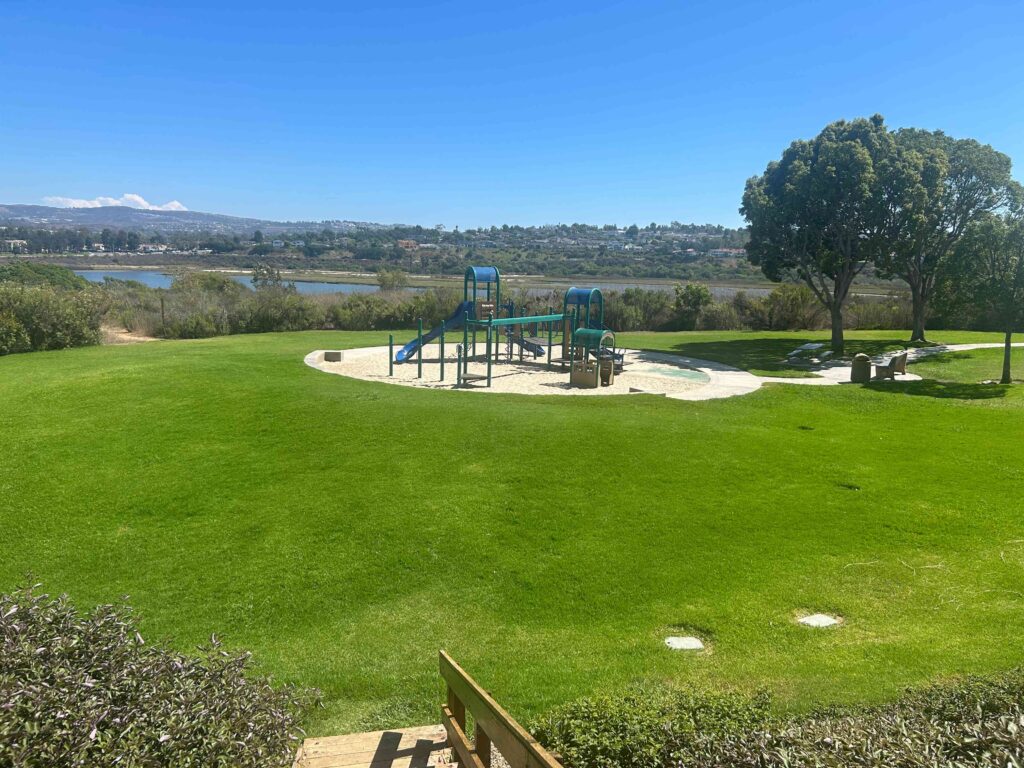 IMG 2277 11zon 1024x768