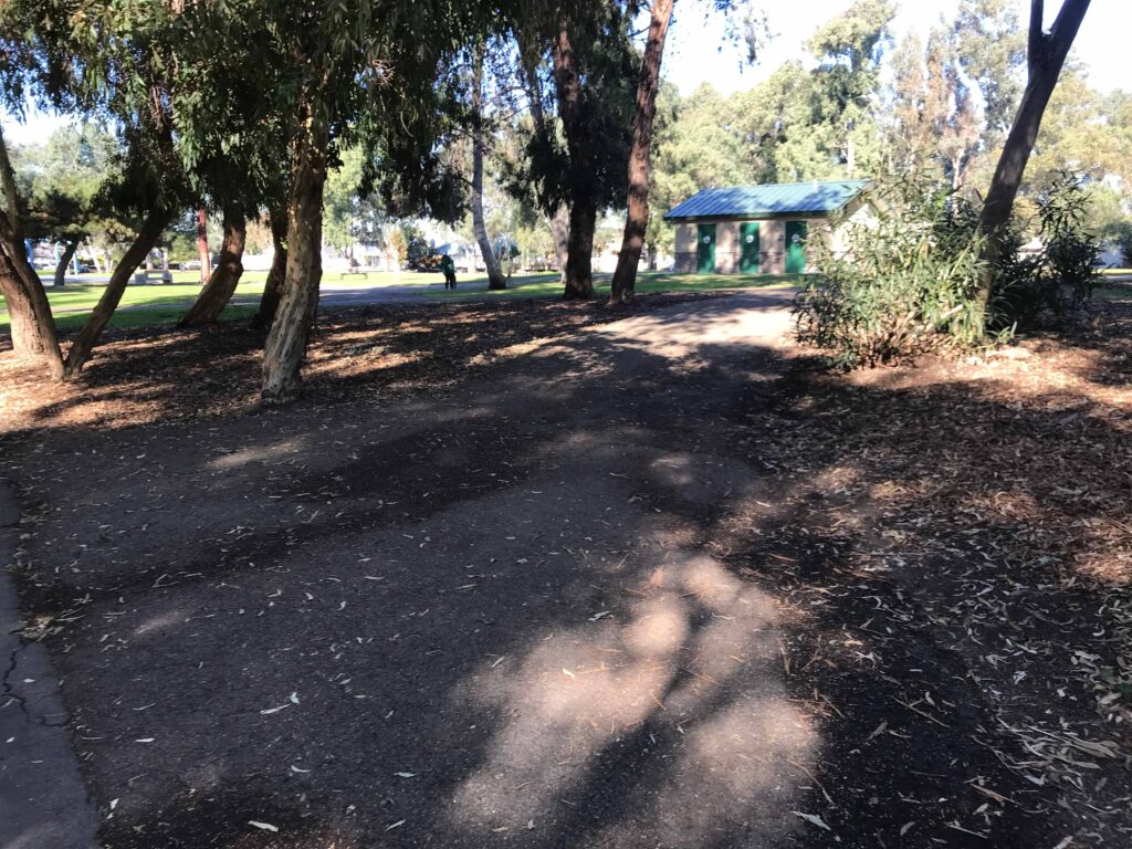 IMG 2283 11zon 1024x768