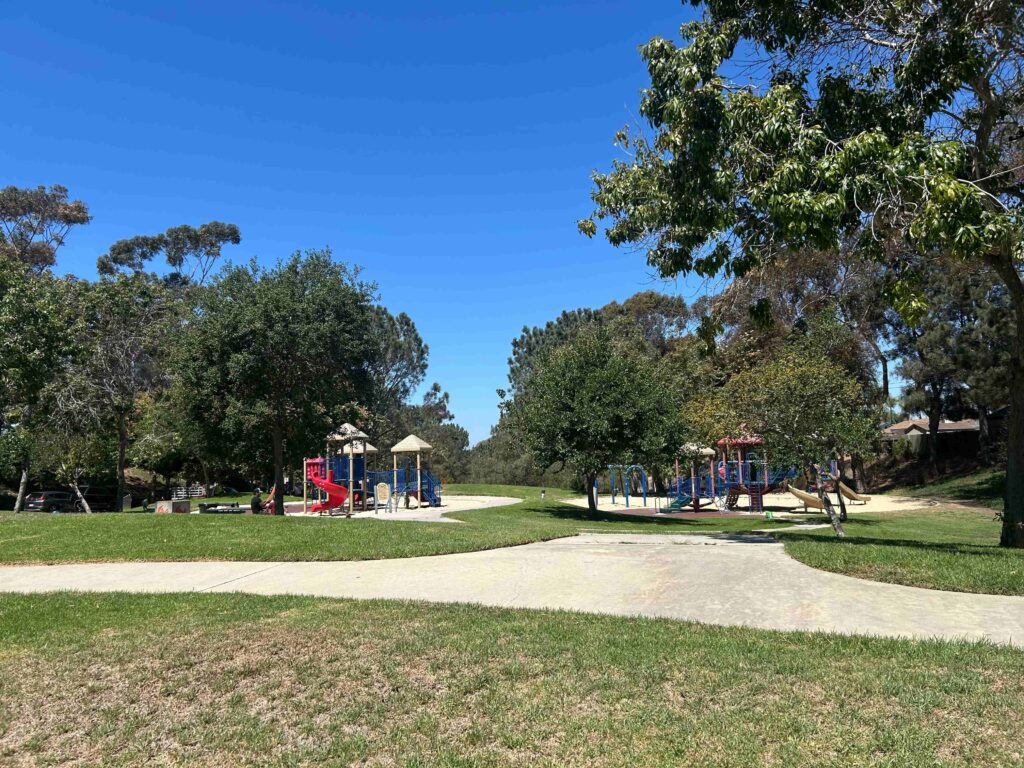 IMG 2291 11zon 1 1024x768