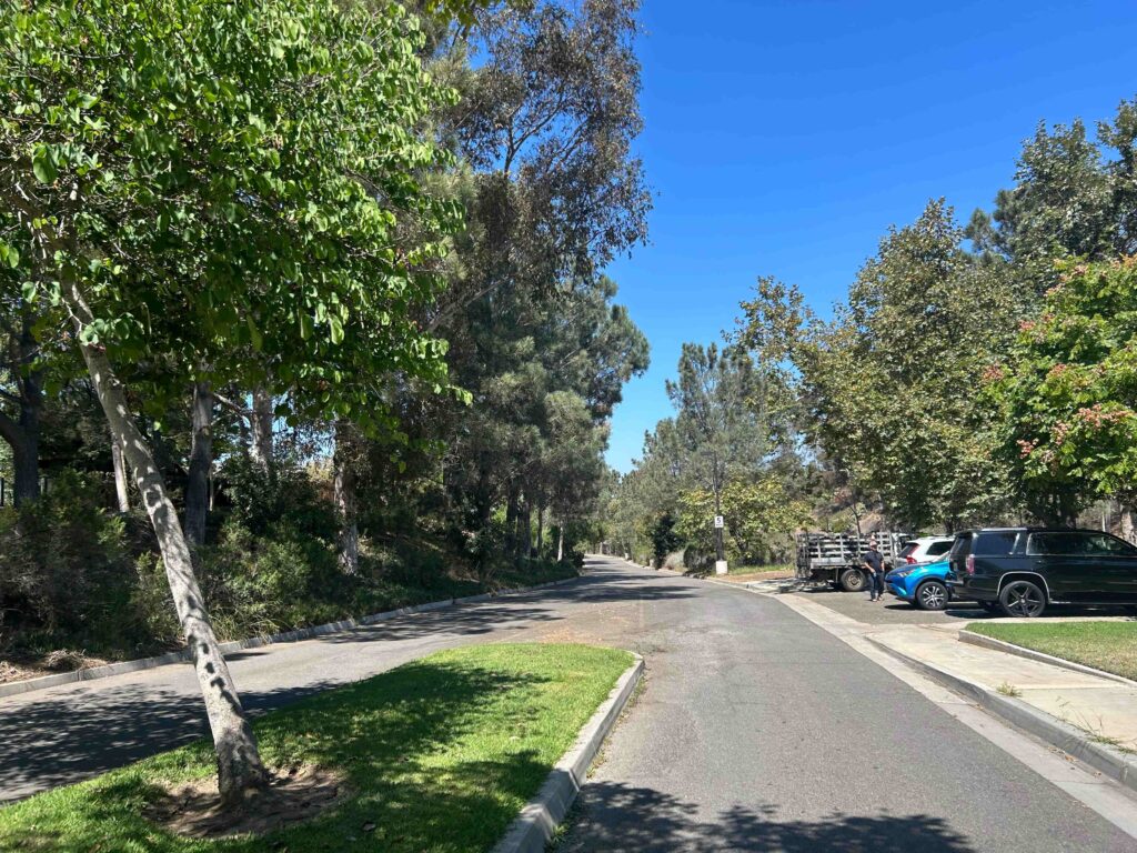 IMG 2295 11zon 1024x768