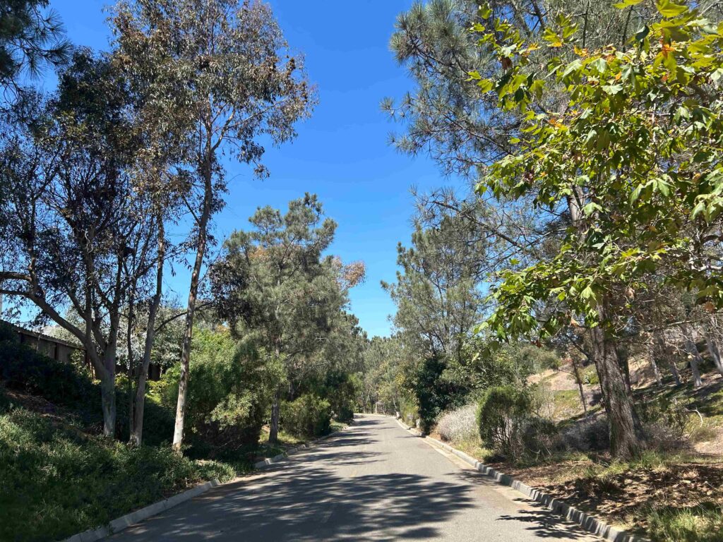 IMG 2296 11zon 1024x768