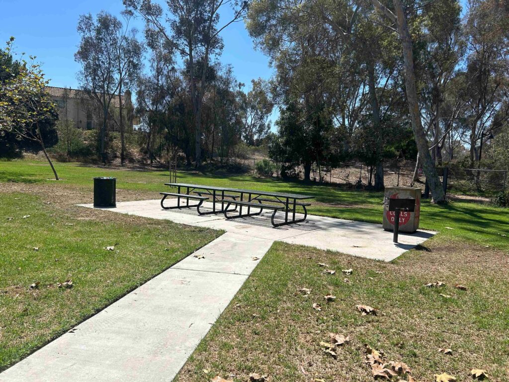 IMG 2303 11zon 1024x768