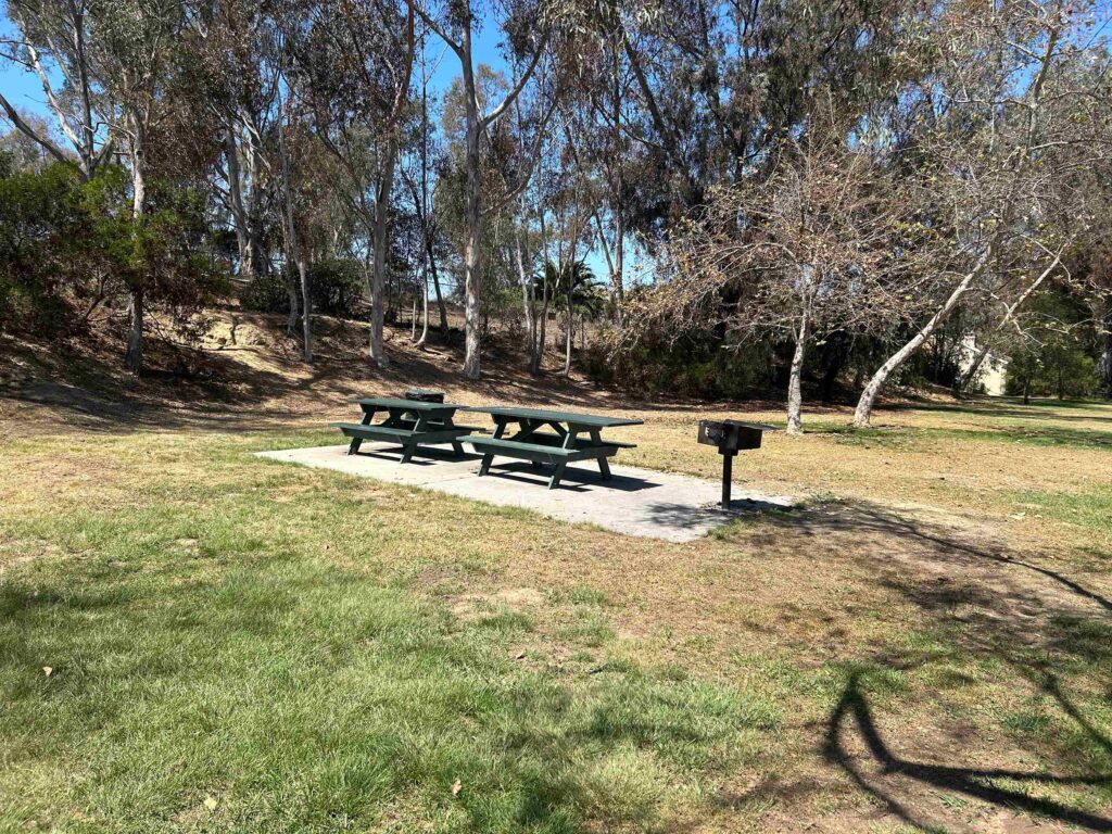 IMG 2304 11zon 1024x768