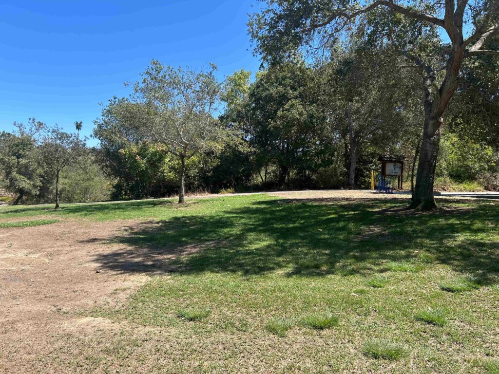 IMG 2306 11zon 1024x768