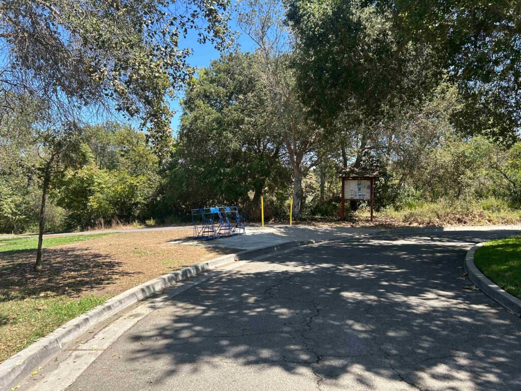 IMG 2309 11zon 1024x768