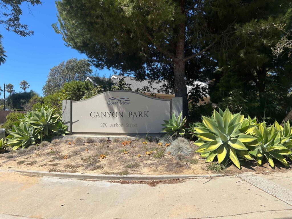 IMG 2311 11zon 1024x768