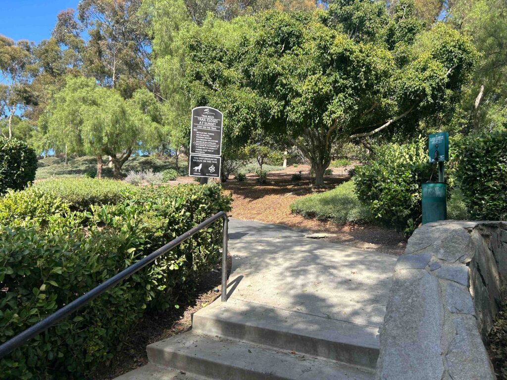 IMG 2350 11zon 1024x768