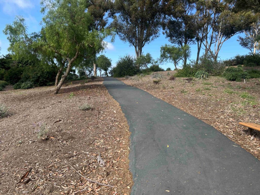 IMG 2357 1 11zon 1024x768