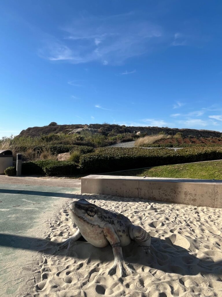 IMG 3801 11zon 768x1024