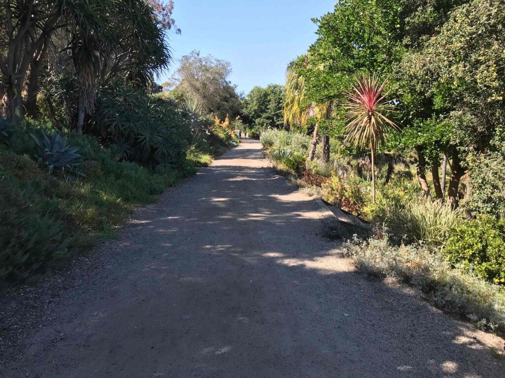 IMG 9331 11zon 1024x768