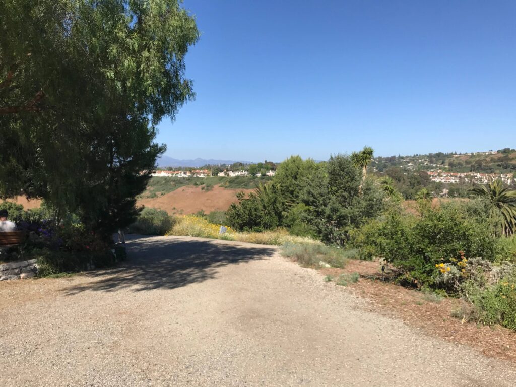 IMG 9336 11zon 1024x768