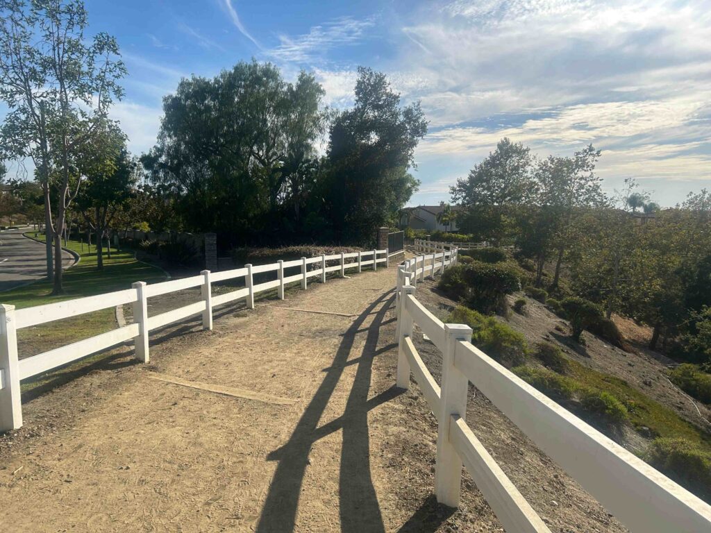 IMG 2224 11zon 1024x768