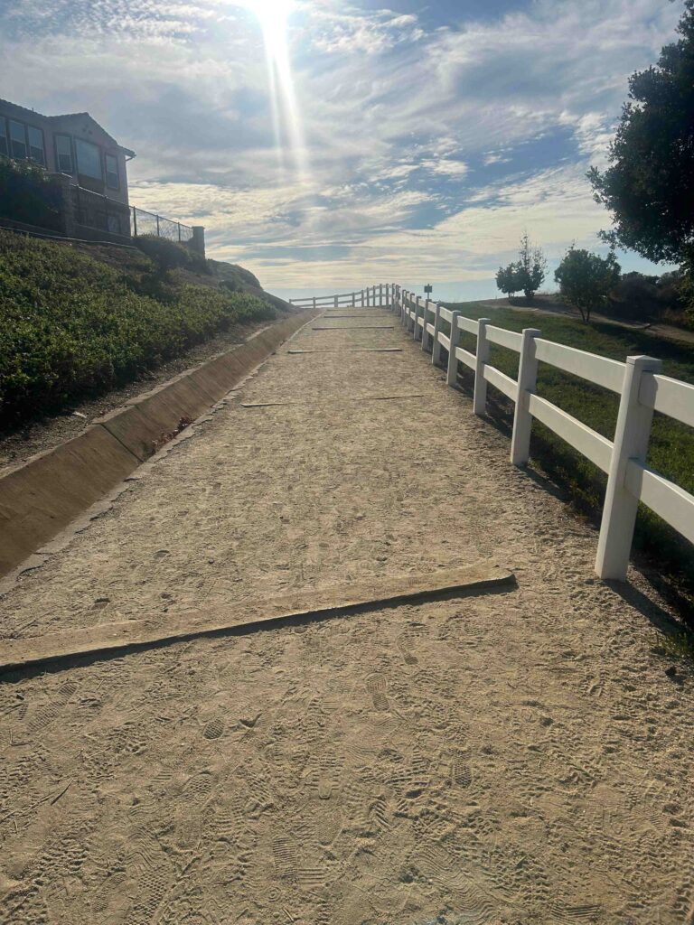 IMG 2226 11zon 768x1024