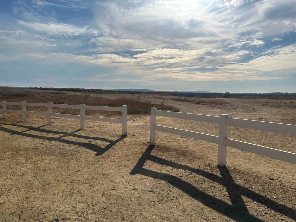 IMG 2228 11zon 1024x768