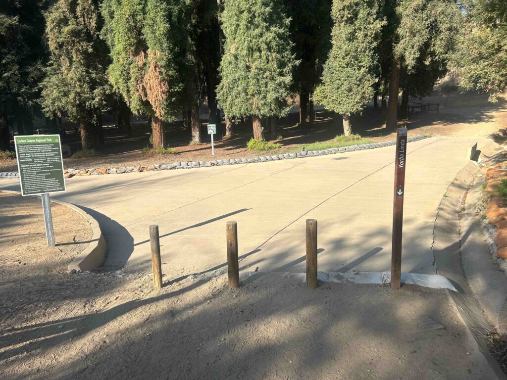 IMG 2231 11zon 1024x768